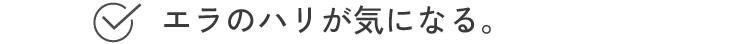 エラのハリが気になる。