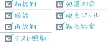 初診料・処置料金・回診・脱毛ジェル・再診料・剃毛料金・テスト照射