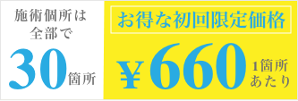 施術個所は全部で30箇所