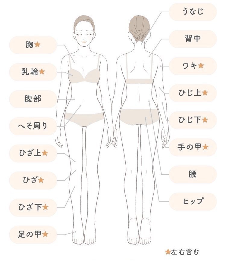 全身26箇所の部位一覧（胸・乳輪・腹部・へそ周り・ひざ上・ひざ・ひざ下・足の甲・うなじ・背中・ワキ・ひじ上・ひじ下・手の甲・腰・ヒップ）★左右含む