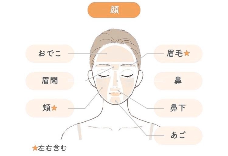 顔の部位一覧（おでこ・眉間・頬・眉毛・鼻・鼻下・あご）★左右含む