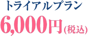 トライアルプラン 税込6,000円