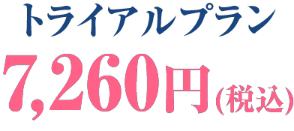 トライアルプラン 税込7,260円