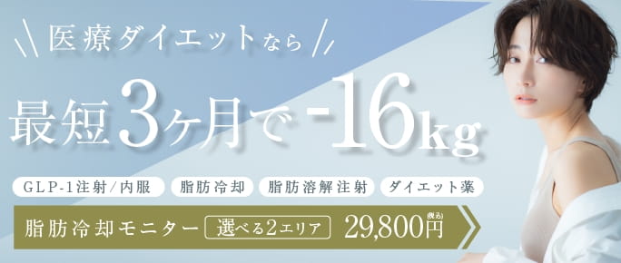 医療ダイエット。脂肪冷却モニター　選べる2エリア　29,800円（税込）